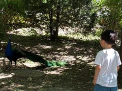 -北京麋鹿生态实验中心