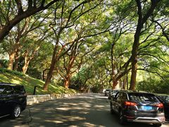 -杭州香格里拉·香宫中餐厅