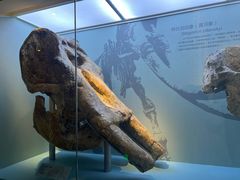 -国家自然博物馆