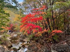 -本溪老边沟风景区