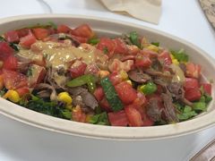 -油梨树 AVOCADO TREE(亮马桥店)