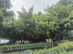 -胡里山炮台