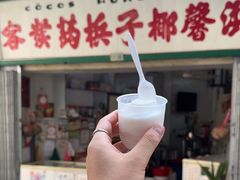 -洪馨椰子