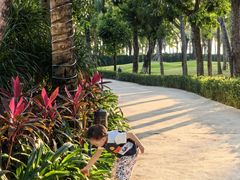 -三亚湾海居铂尔曼度假酒店