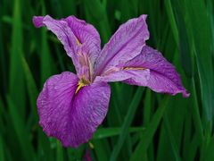 -苏州河梦清园环保主题公园