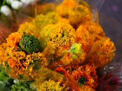 -循礼门鲜花花市(武汉循礼门店)