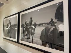 -Polo Ralph Lauren(青浦百联奥特莱斯广场店)