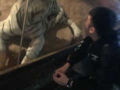 -清迈夜间动物园