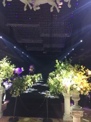 -格乐利雅婚礼艺术中心(浦东花木店)