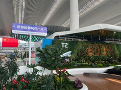 -广州白云国际机场-T2航站楼