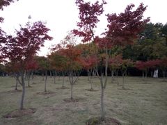 -钟山体育运动公园