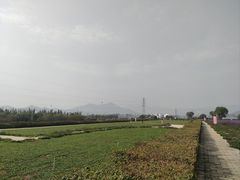 -君乐宝优致牧场