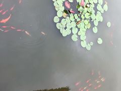 -无锡动物园·太湖欢乐园