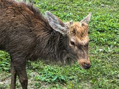 -上海交通大学(闵行校区)
