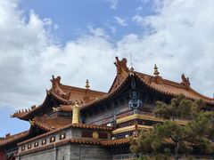-大召无量寺