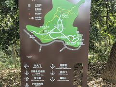 -上海佘山国家森林公园天马山园