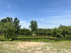 -西安浐灞国家湿地公园