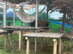 -苏州太湖国家湿地公园