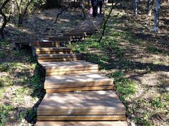 -北京十三陵国家森林公园蟒山景区