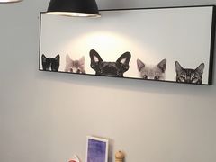 -吃饼人西餐(南开店)