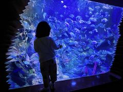 -太平洋海底世界