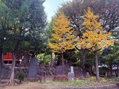 -浅草寺