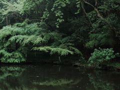 -虎跑公园