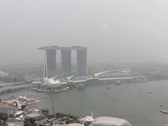 -新加坡瑞士史丹福酒店