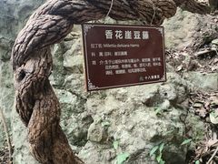 -磐安十八涡风景区