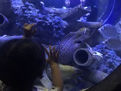 -成都浩海立方海洋公园