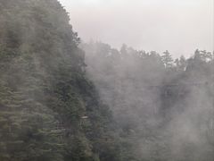 -秦岭天竺山景区