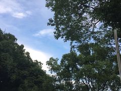 -元洲装饰(杭州东路店)