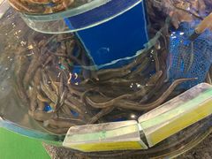 -新海渔港·胶东海鲜家常菜·家宴(奥体中心店)