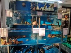 水产区-大唐名家·息壤店