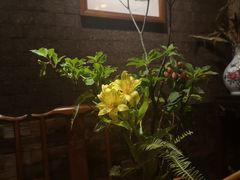 -普洱茶府(博乐广场店)