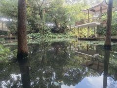 -广州兰圃