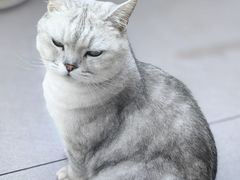 -伴山茶苑·围炉煮茶