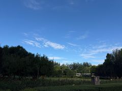 -大望京公园