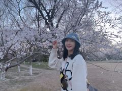 -奥林匹克森林公园北园-停车场