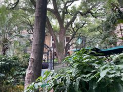 -星巴克臻选(广州沙面店)