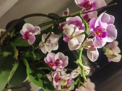 -春暖花开(西溪店)