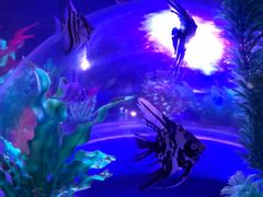 -梦幻海洋王国(吾悦广场张家港店)