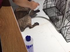 -MOLLY'S萌宠生活馆