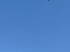 -红光山