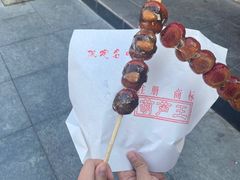 -糖葫芦王保定名吃(古莲花池店)