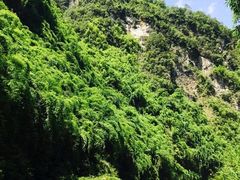 -阿依河景区