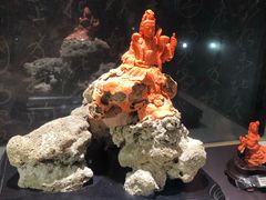 -东海珊瑚博物馆