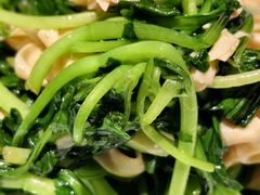 -老吉堂上海本帮菜(望京万象汇店)