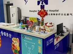 -睿金宠物医院·CT·肿瘤·骨外科