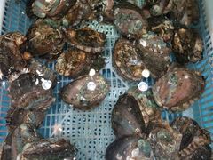 -港畔赶海蒸汽海鲜烧烤自助(仙螺岛店)